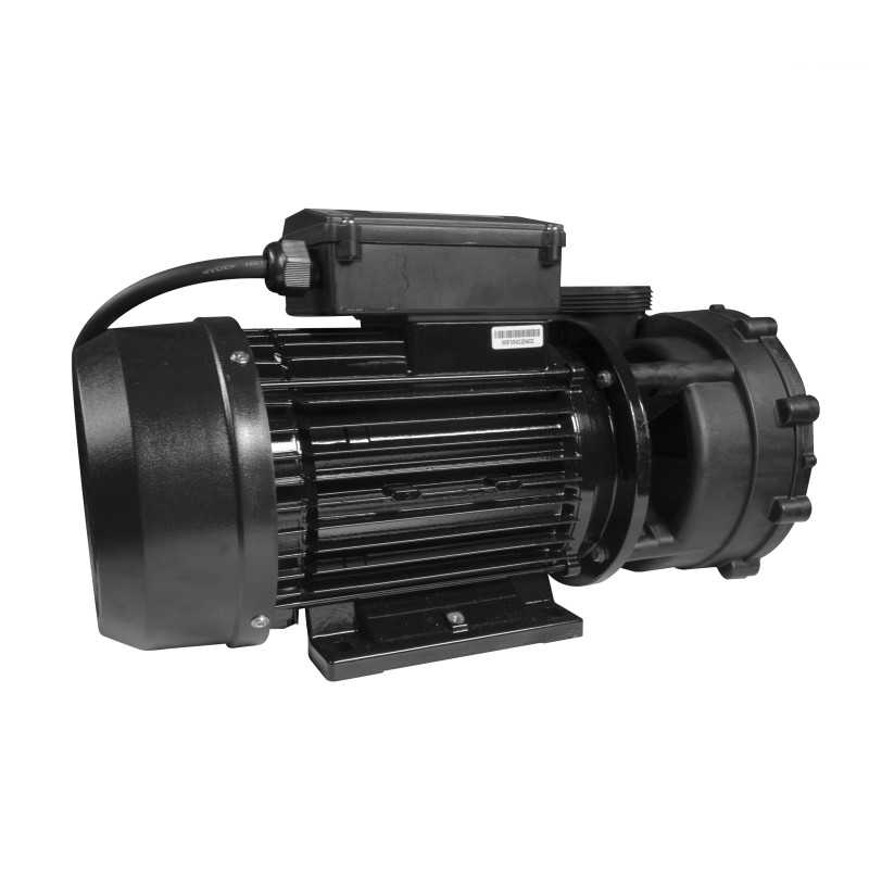 Pompe de massage WP-300 3 HP