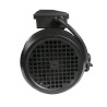 Pompe de massage WP-300 3 HP