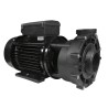 Pompe de massage WP-300 3 HP