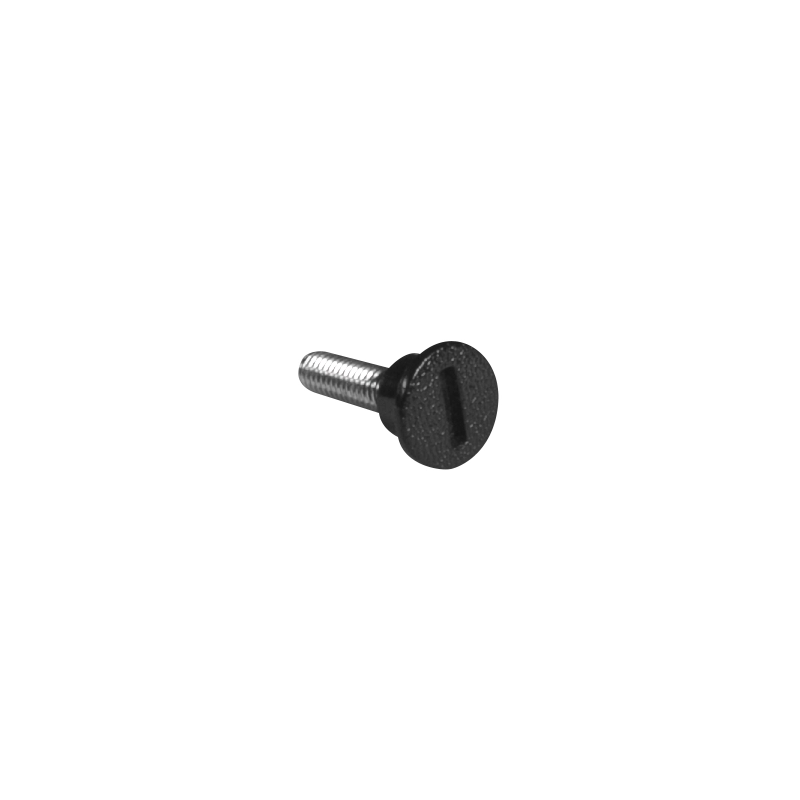 Vis de sécurité pour grille skimmer