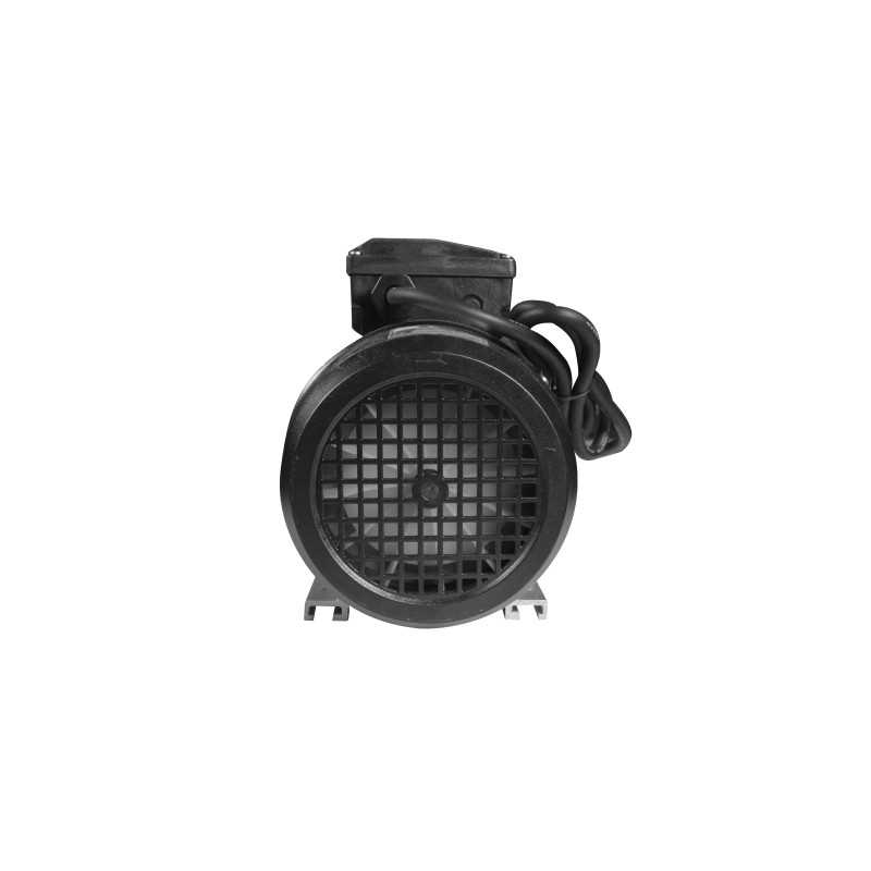 Pompe de circulation 1,5 HP pour spa