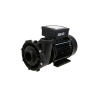 Pompe de massage Spa Whirlpool | Sortie 2" | 2 HP