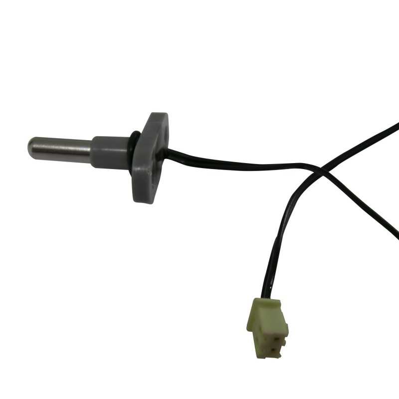 sonde température spa gonflable