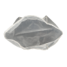 Sac filtrant robot Laisy - Water'clip